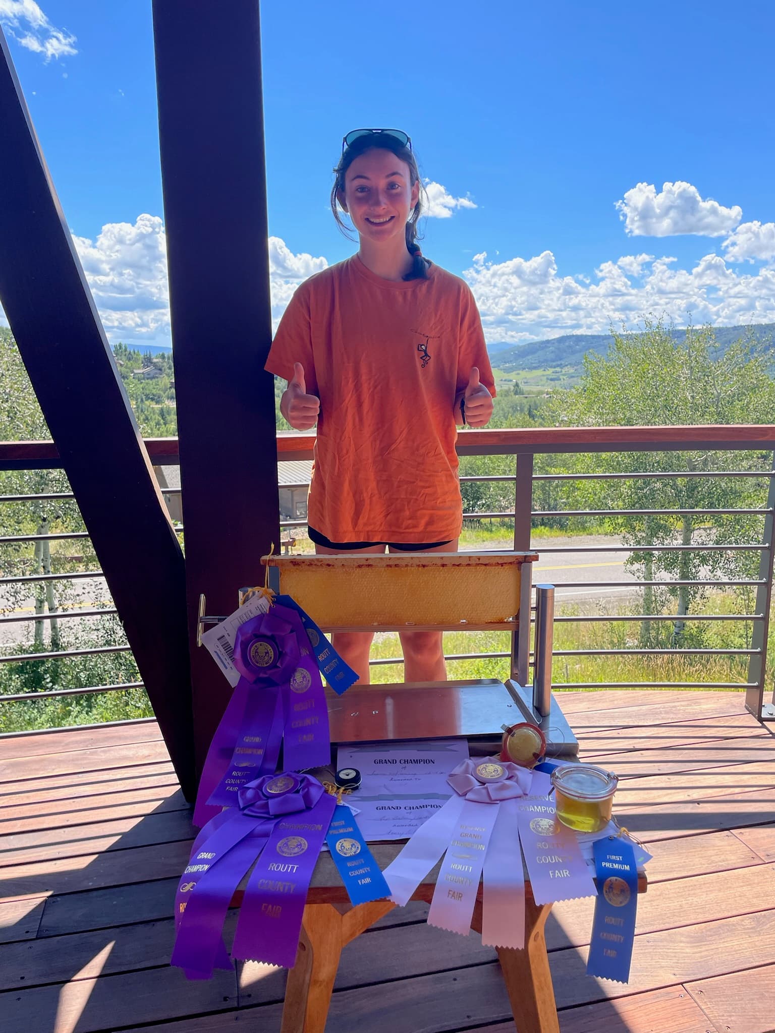 Bee Bomb award display with comb honey and ribbons on a sunny deck